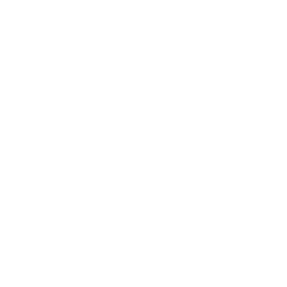 google white logo